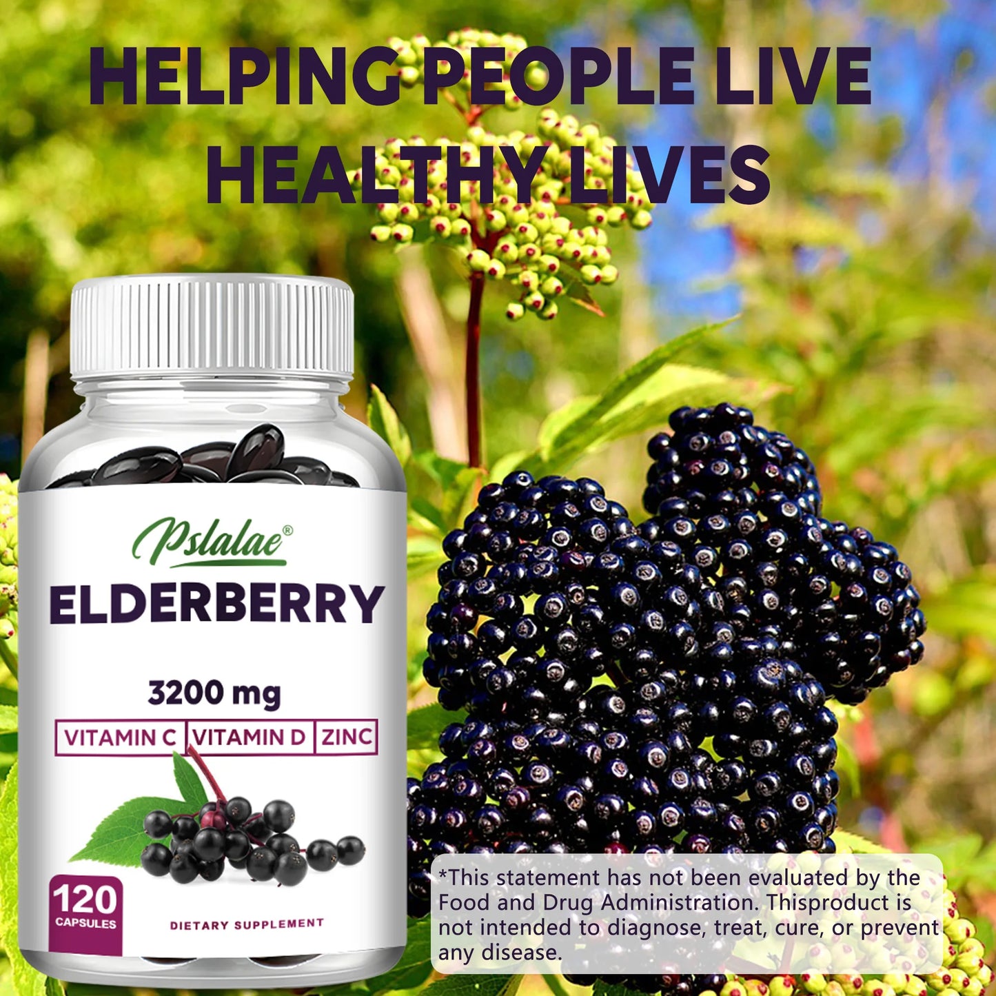 Elderberry Supplement – Immune & Antioxidant Support (120 Ct)