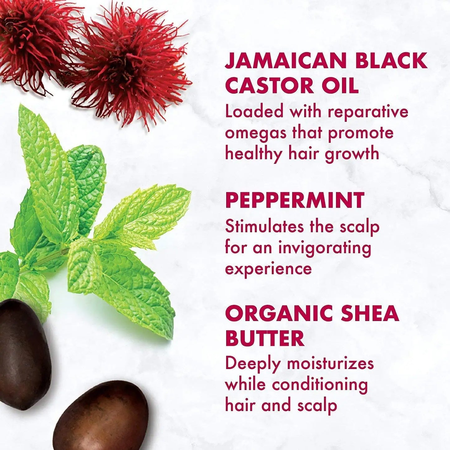 Shea Moisture Hair Set – Jamaican Black Castor Oil Masque