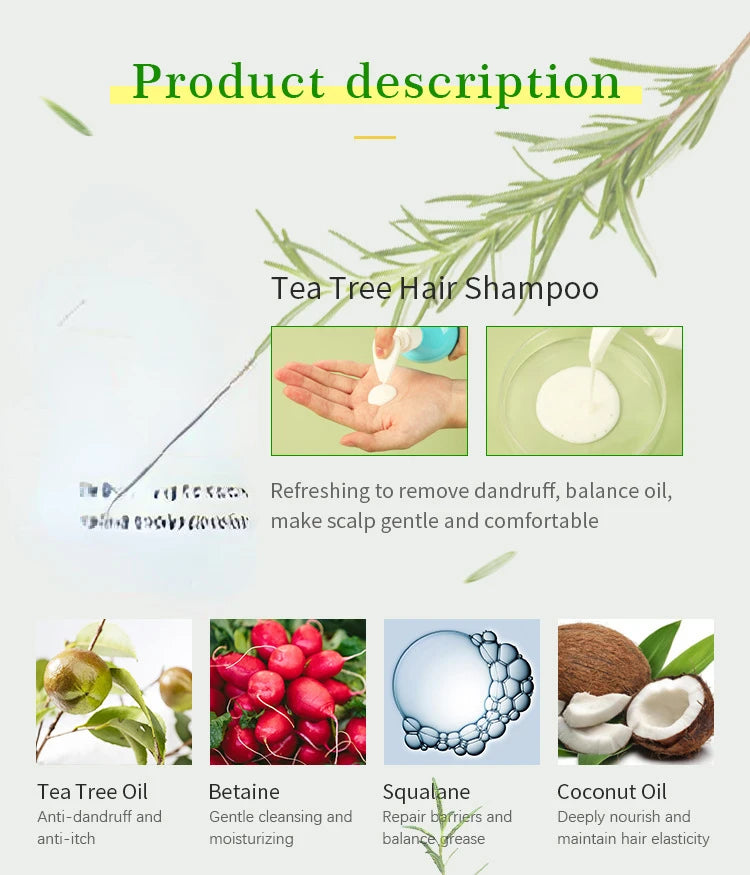 Tea Tree & Argan Oil Shampoo & Conditioner – 473ml Set