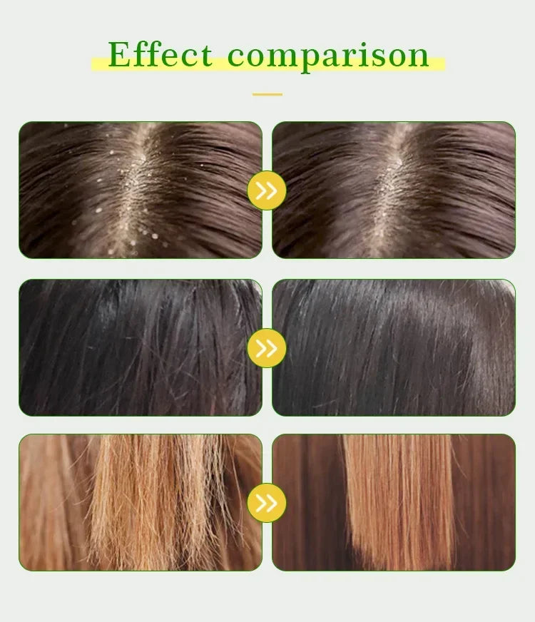 Tea Tree & Argan Oil Shampoo & Conditioner – 473ml Set