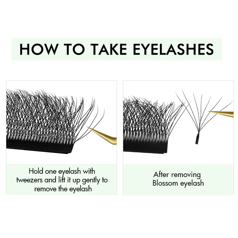 NATUHANA 5 Cases Eyelash Extensions – W-Shape Volume