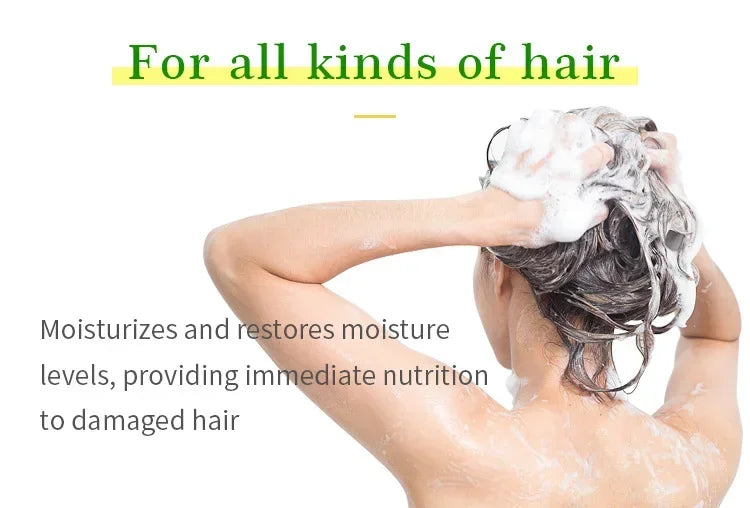 Tea Tree & Argan Oil Shampoo & Conditioner – 473ml Set