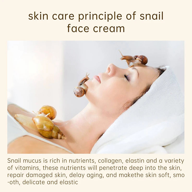 AUQUEST Snail Collagen Face Cream – Whitening & Moisturizing