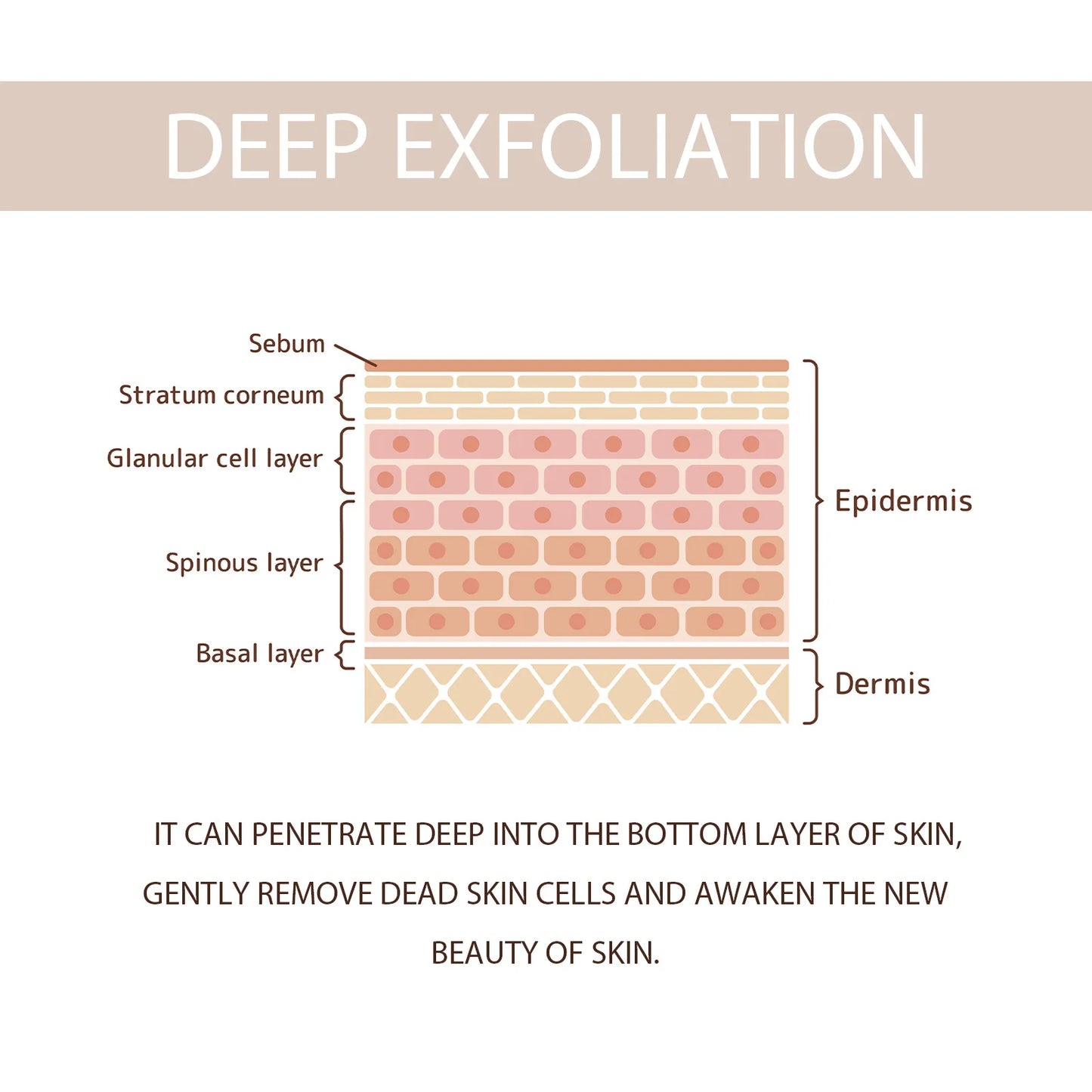 Exfoliating Face Gel – Deep Cleanser & Dark Spot Remover