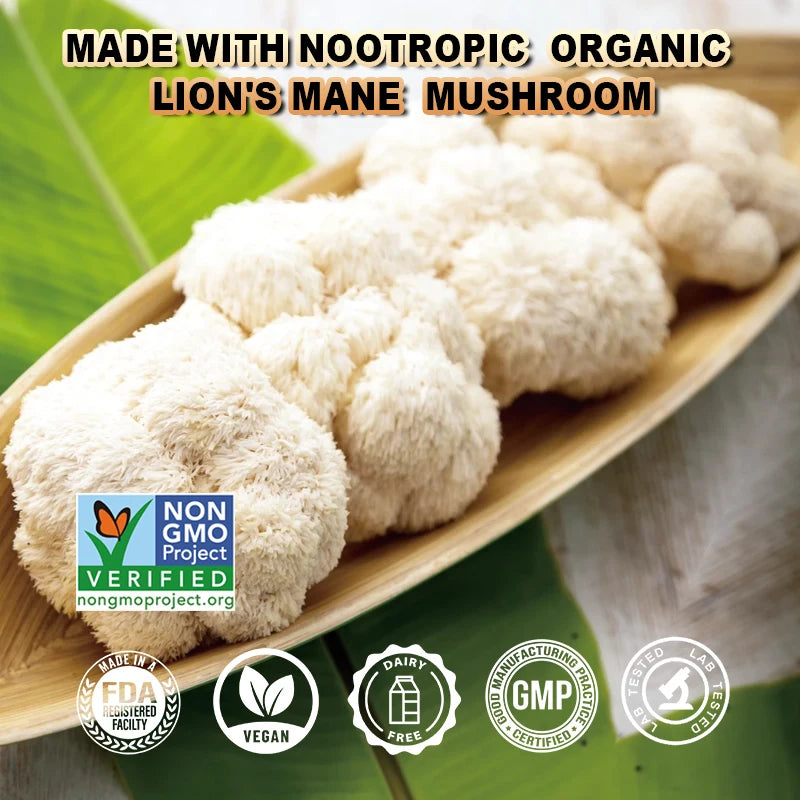 Balincer Lion’s Mane Mushroom – Mood, Focus & Sleep Support