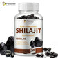 Shilajit Capsules – Detox, Nutrient Absorption & Stress Relief (120)