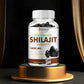 Shilajit Capsules – Detox, Nutrient Absorption & Stress Relief (120)