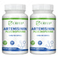 Artemisinin 100mg – Digestion, Immunity & Healthy Aging Support