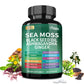 Sea Moss + Black Seed Oil + Ashwagandha + Ginger – Immune & Energy Support (120 Ct)