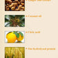 BOQIAN Ginger Shampoo & Conditioner – Root & Scalp Care