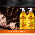 Ginger Root Nourishing Shampoo & Conditioner Set — Ancient ginger root wisdom meets modern hair science | Beautifully Within