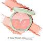 Caitang TIMAGE 3-Color Blush Palette – Highlight & Contour