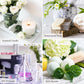 PHATOIL Fragrance Oil Set – 10pcs Candle & Soap Making Oils