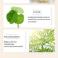 Golden Neck Mask – Anti-Aging & Firming (10pcs)