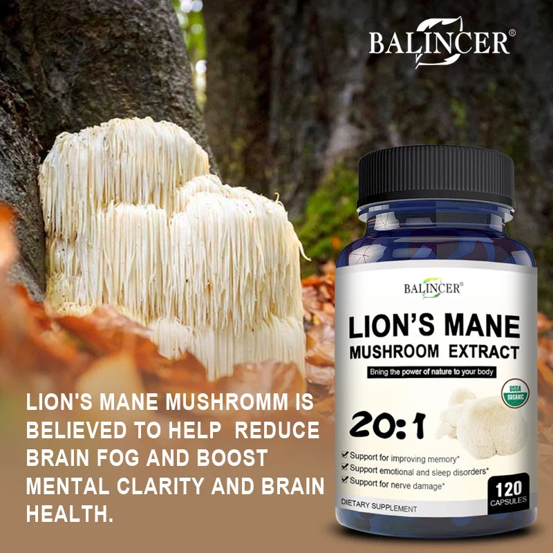 Lion’s Mane Mushroom Extract – Mood & Sleep Support