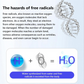 Hydrogen Water Bottle – Portable Rechargeable Glass Generator