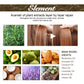 Rosemary Hair Oil – Repair & Shine Treatment