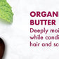 Shea Moisture Hair Set – Jamaican Black Castor Oil Masque