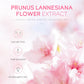 Sakura Skincare Set – Cleanser, Serum, Cream & Eye Cream