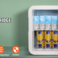 VEVOR 20L Mini Fridge – Portable Skincare & Cosmetic Cooler
